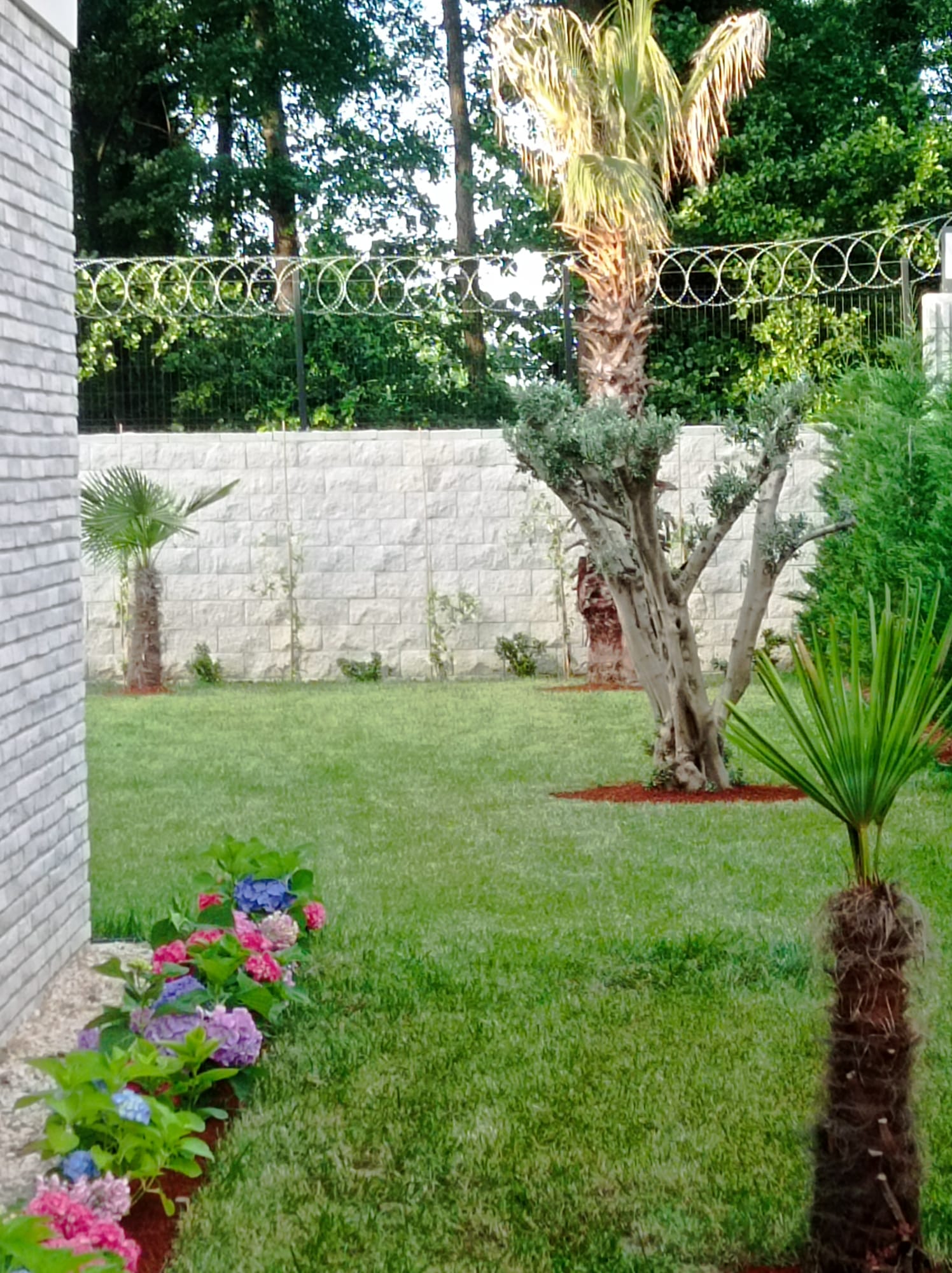 Peyzaj Uygulama ve Bahçe Bakımı