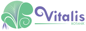 Vitalis Botanik - 